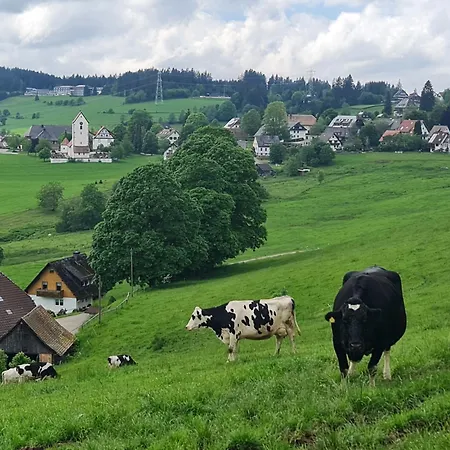 Schwarzwald * Lenzkirch
