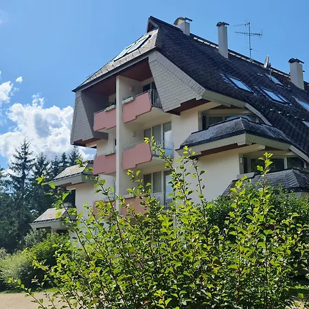 Schwarzwald Apartment Lenzkirch