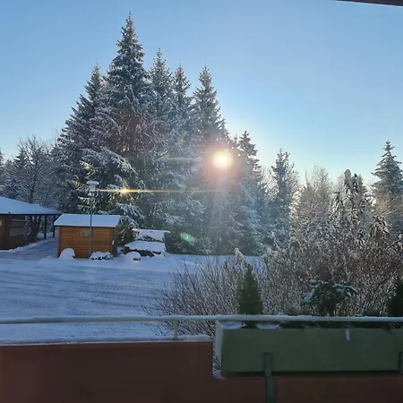 Apartment Schwarzwald *