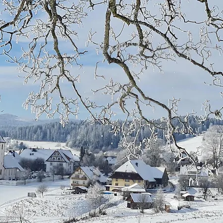 Apartment Schwarzwald