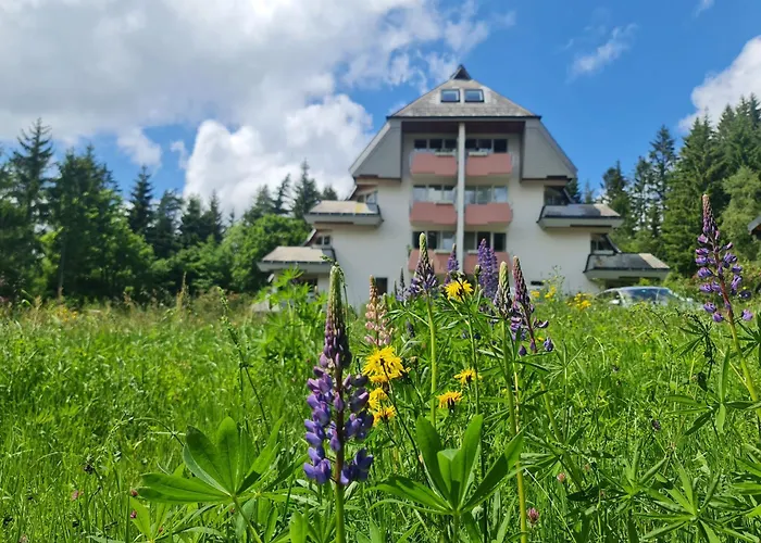 Апартаменты Schwarzwald *